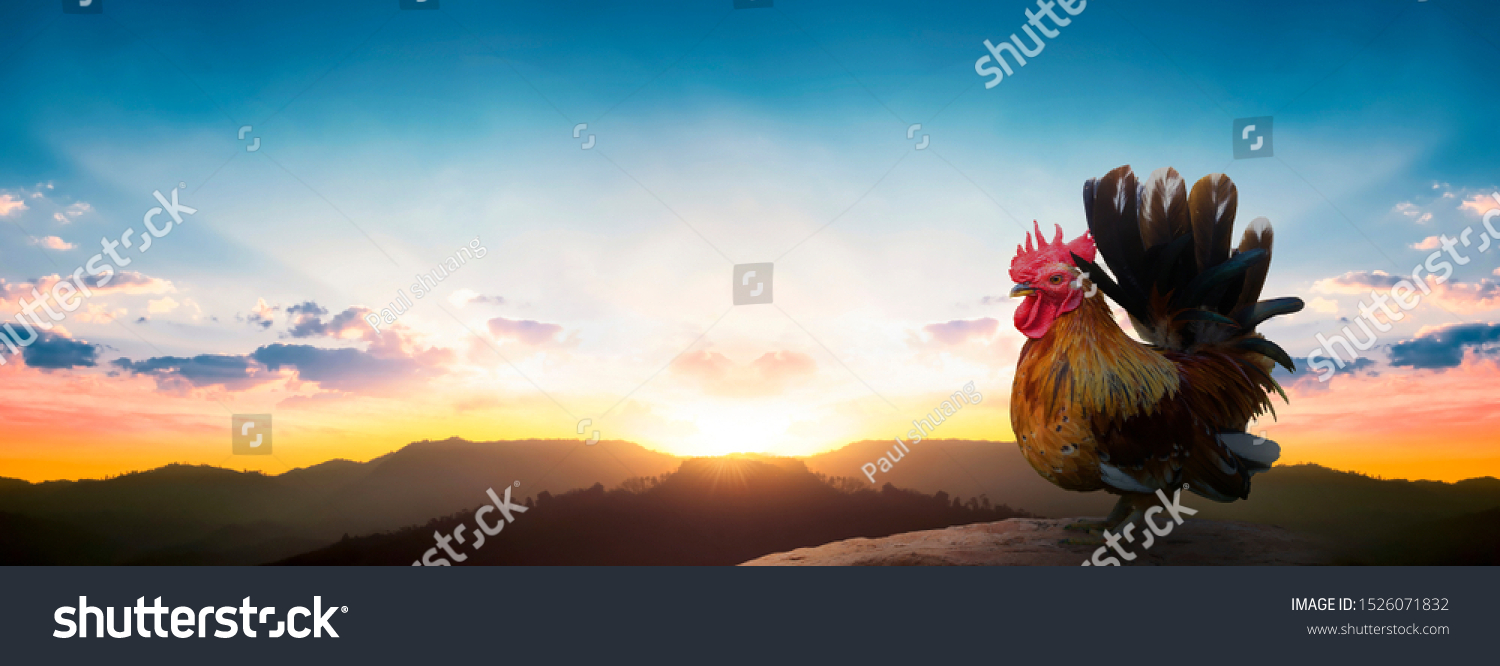 International Mountain Day Concept Silhouette Chicken Stock Photo (Edit ...