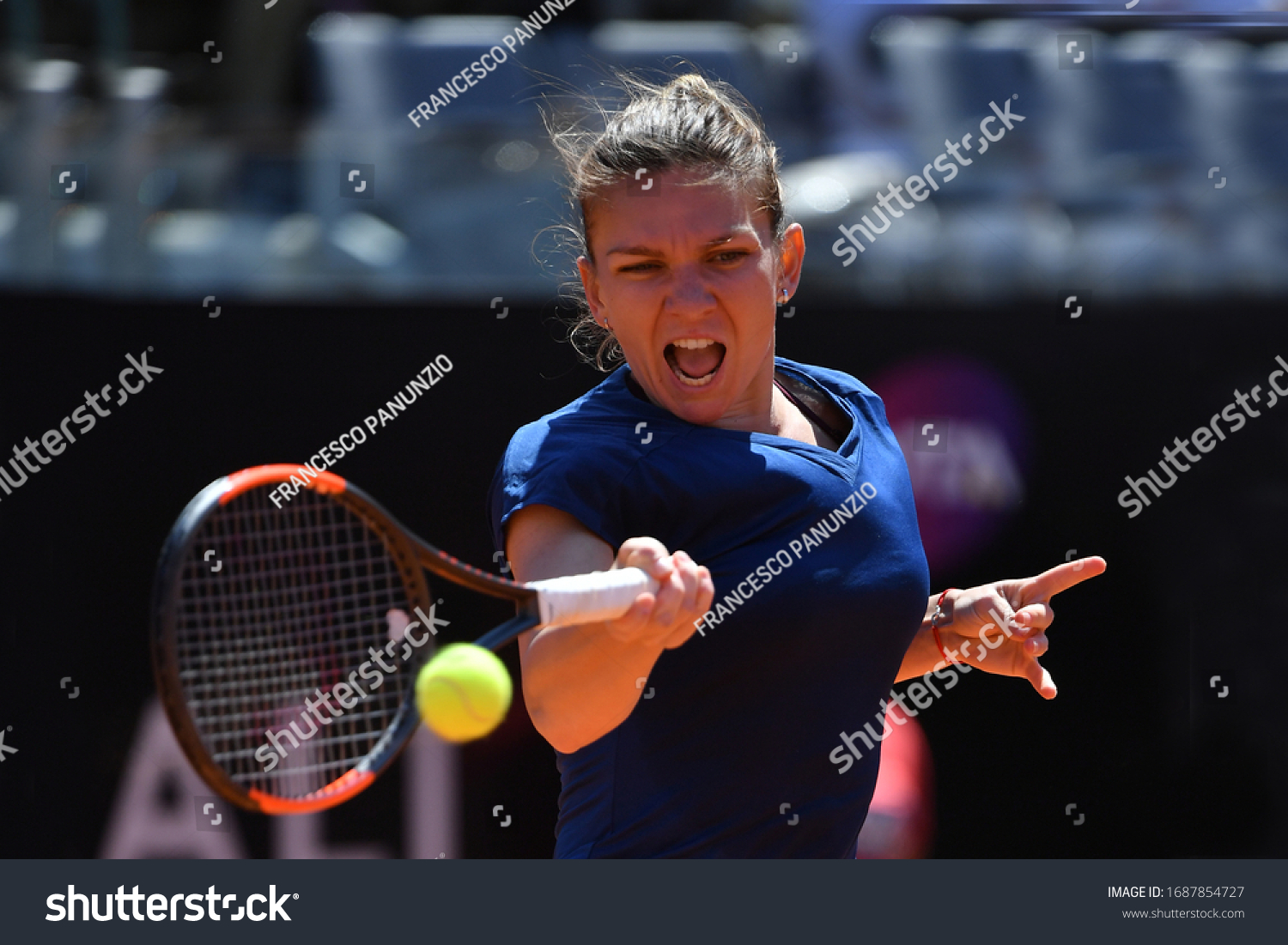 simona halep world Senior