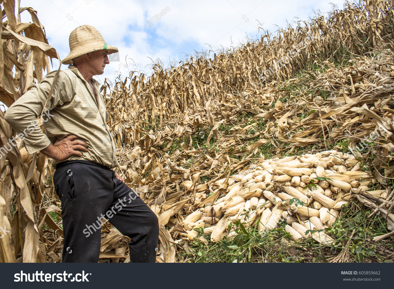 Iomerê Santa Catarina fonte: image.shutterstock.com