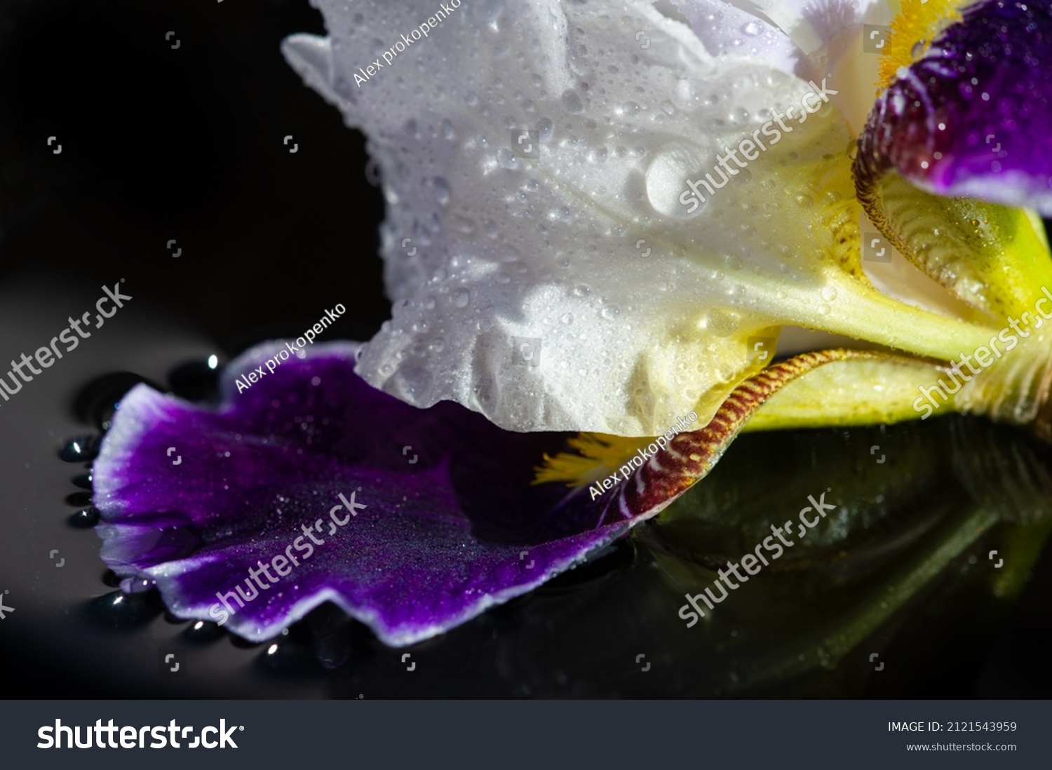 iris-greek-word-rainbow-greeks-rainbow-stock-photo-2121543959