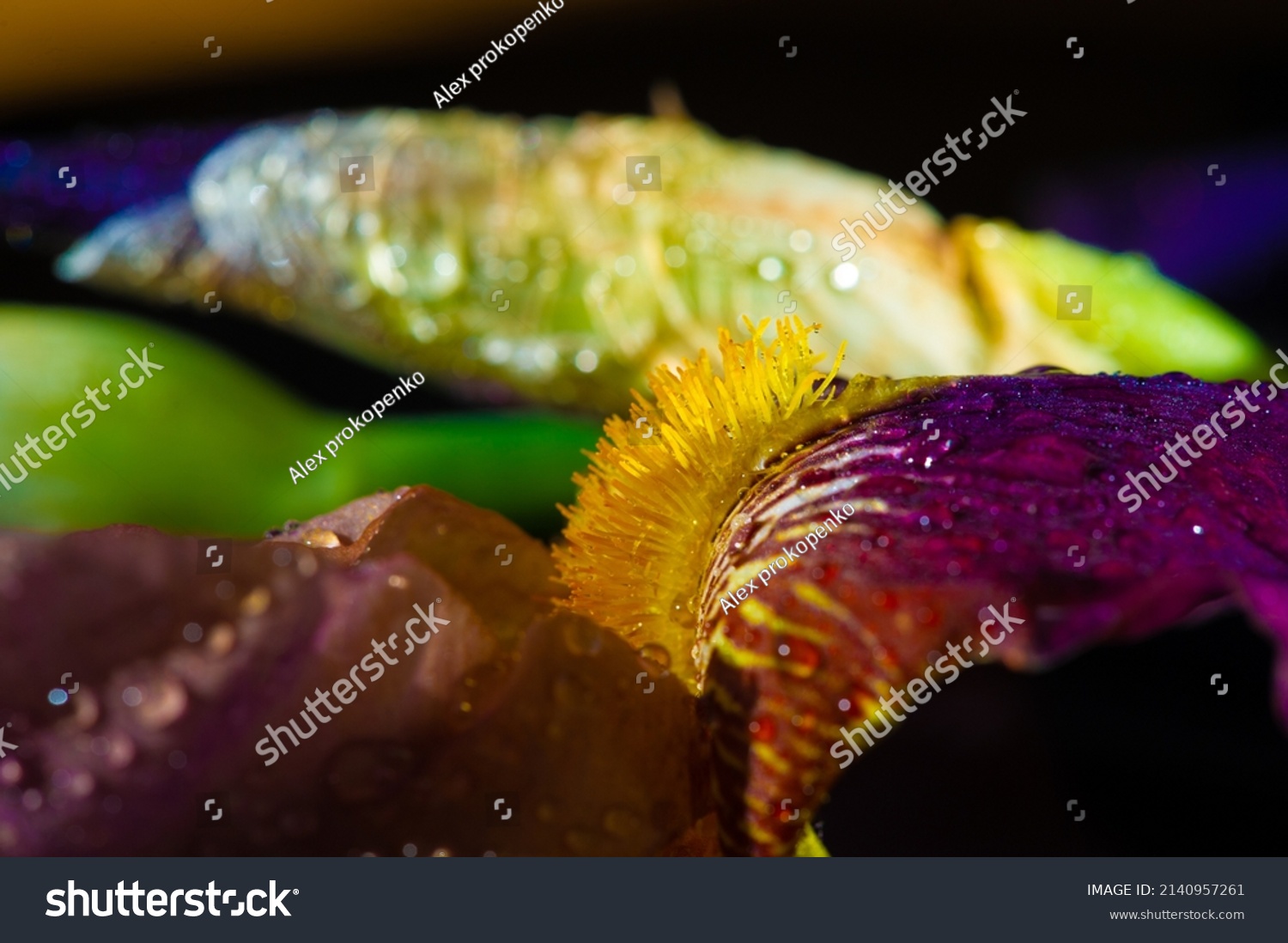 iris-greek-word-rainbow-greeks-rainbow-stock-photo-2140957261