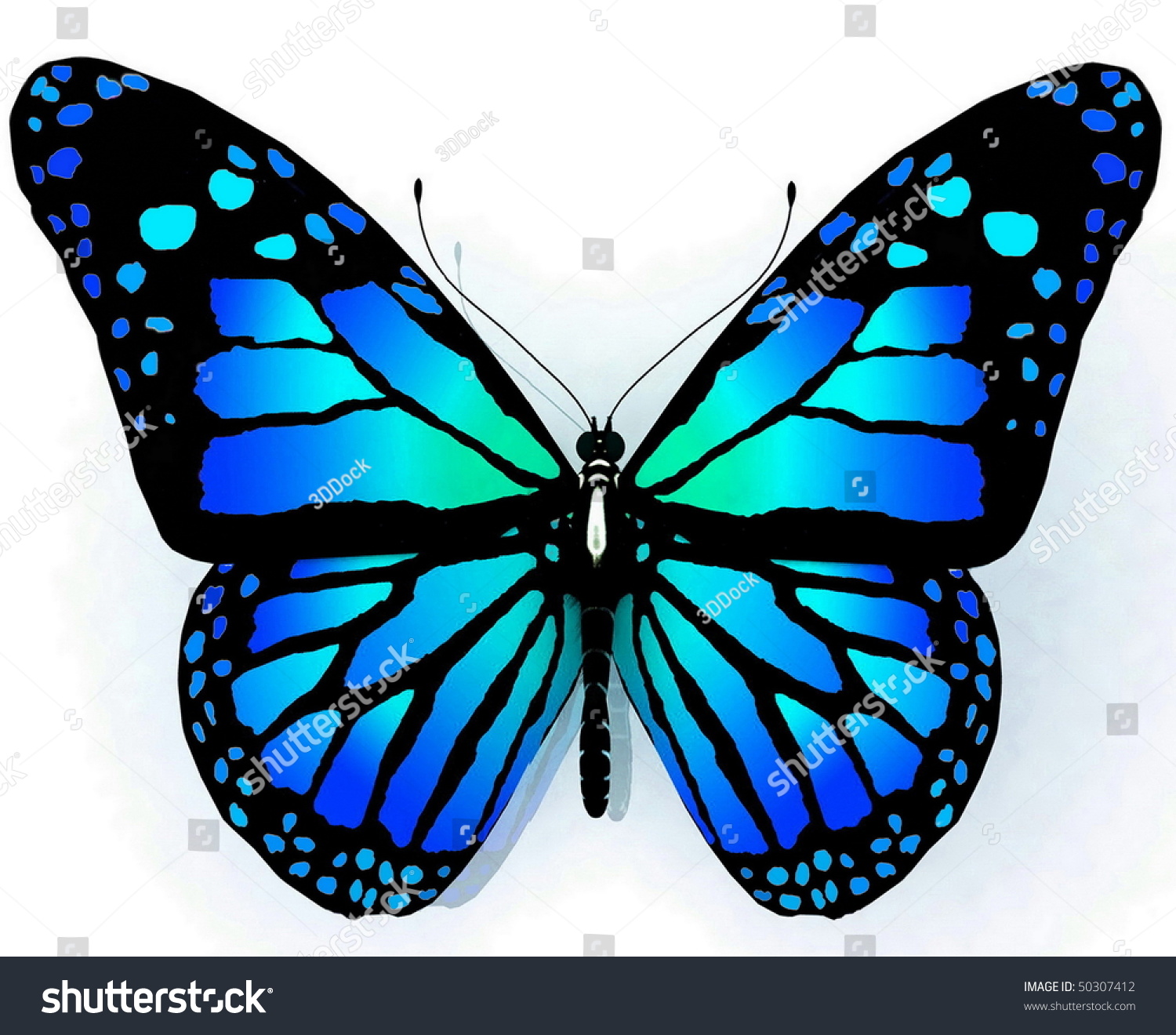 Isolated Butterfly Blue Color On White Stock Illustration ...