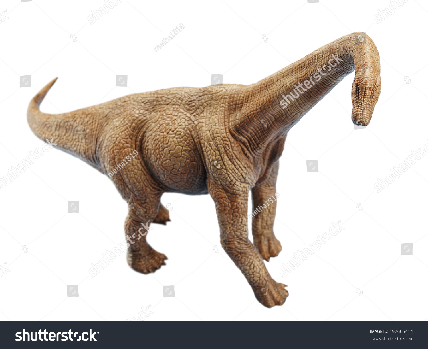 Isolated Dinosaur White Background Stock Photo 497665414 - Shutterstock