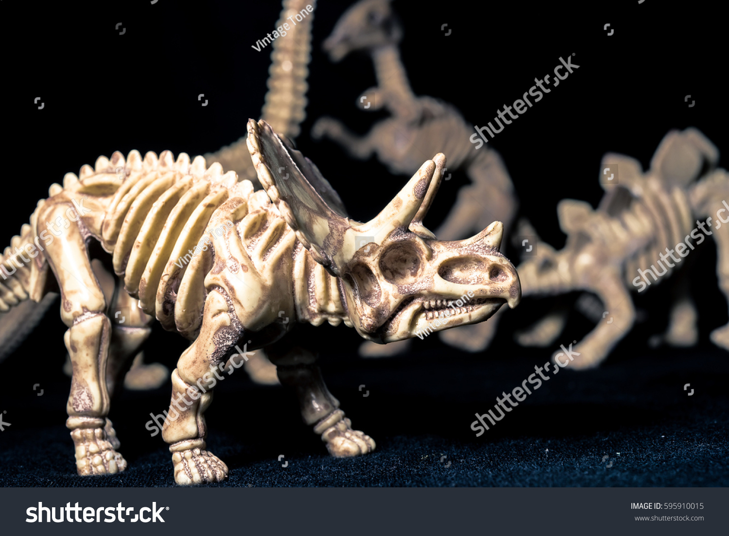 Isolated Dinosaur On Black Background Copy Stock Photo 595910015