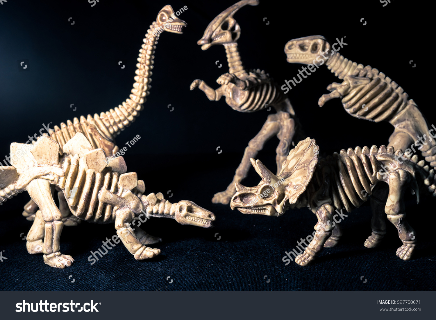 Isolated Dinosaur On Black Background Copy Stock Photo 597750671