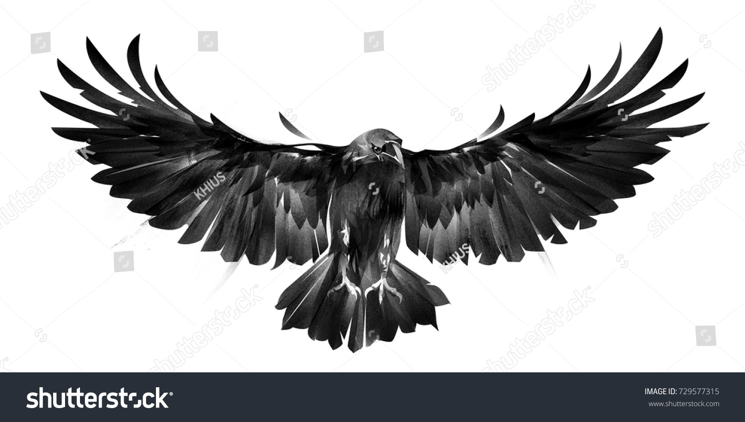 Isolated Picture Bird Crows On White Stock Illustration