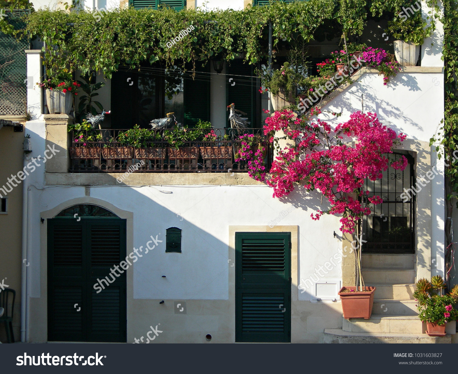 Italy Salento Typical House Bougainvillea Stock Photo Edit - 