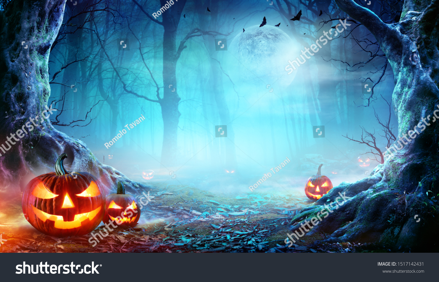 Jack Lanterns Spooky Forest Moonlight Halloween Stock Photo (Edit Now ...