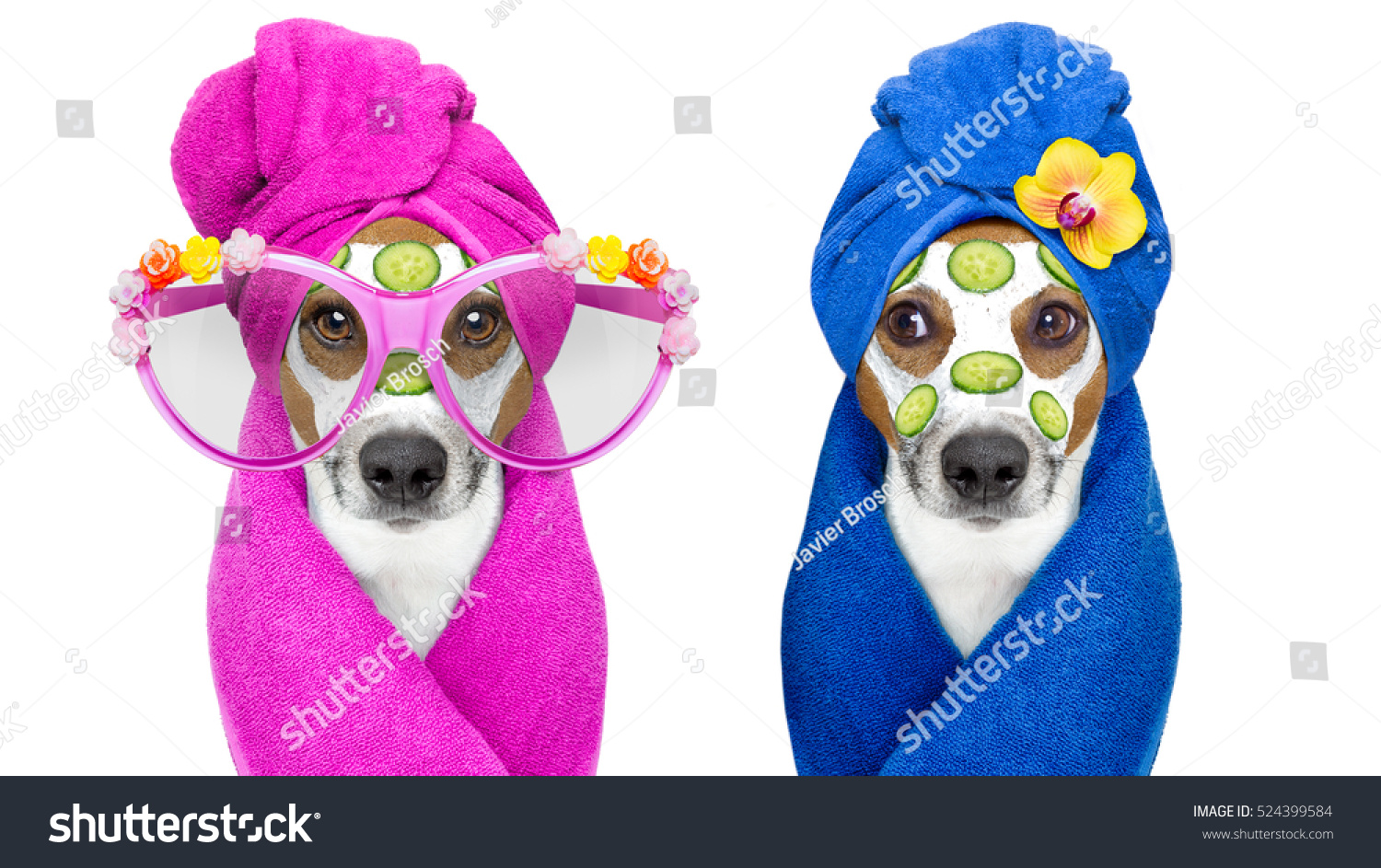 moisturizing cream for dogs