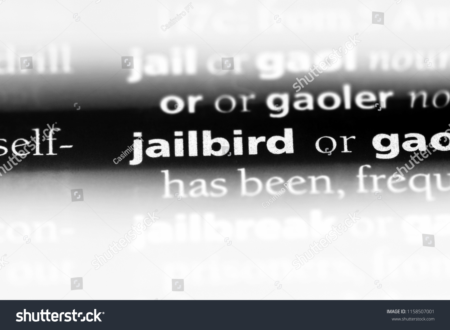 jailbird-word-dictionary-jailbird-concept-stock-photo-1158507001