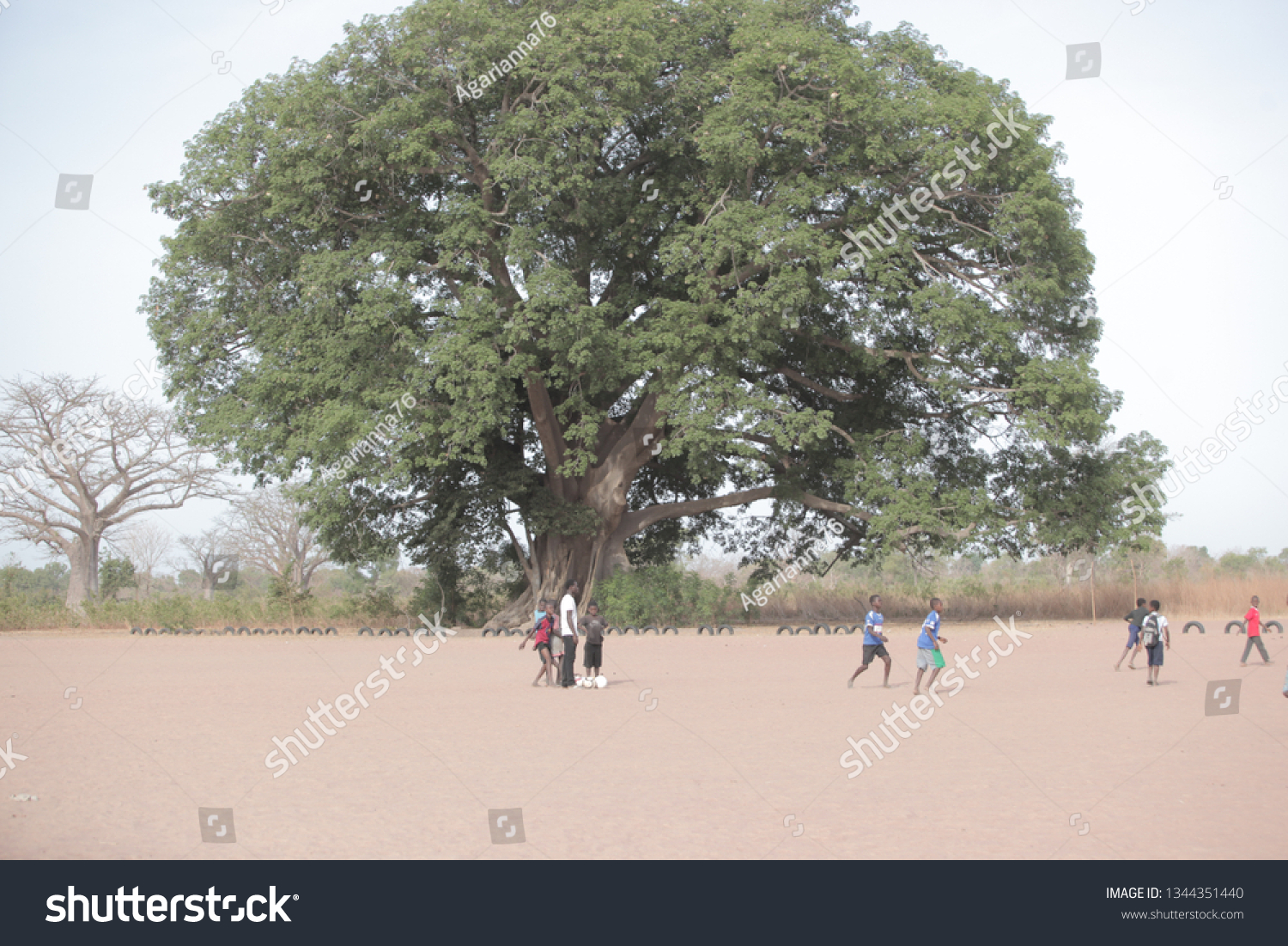 Jali Gambia Africa May 18 2017 Stock Photo 1344351440 | Shutterstock