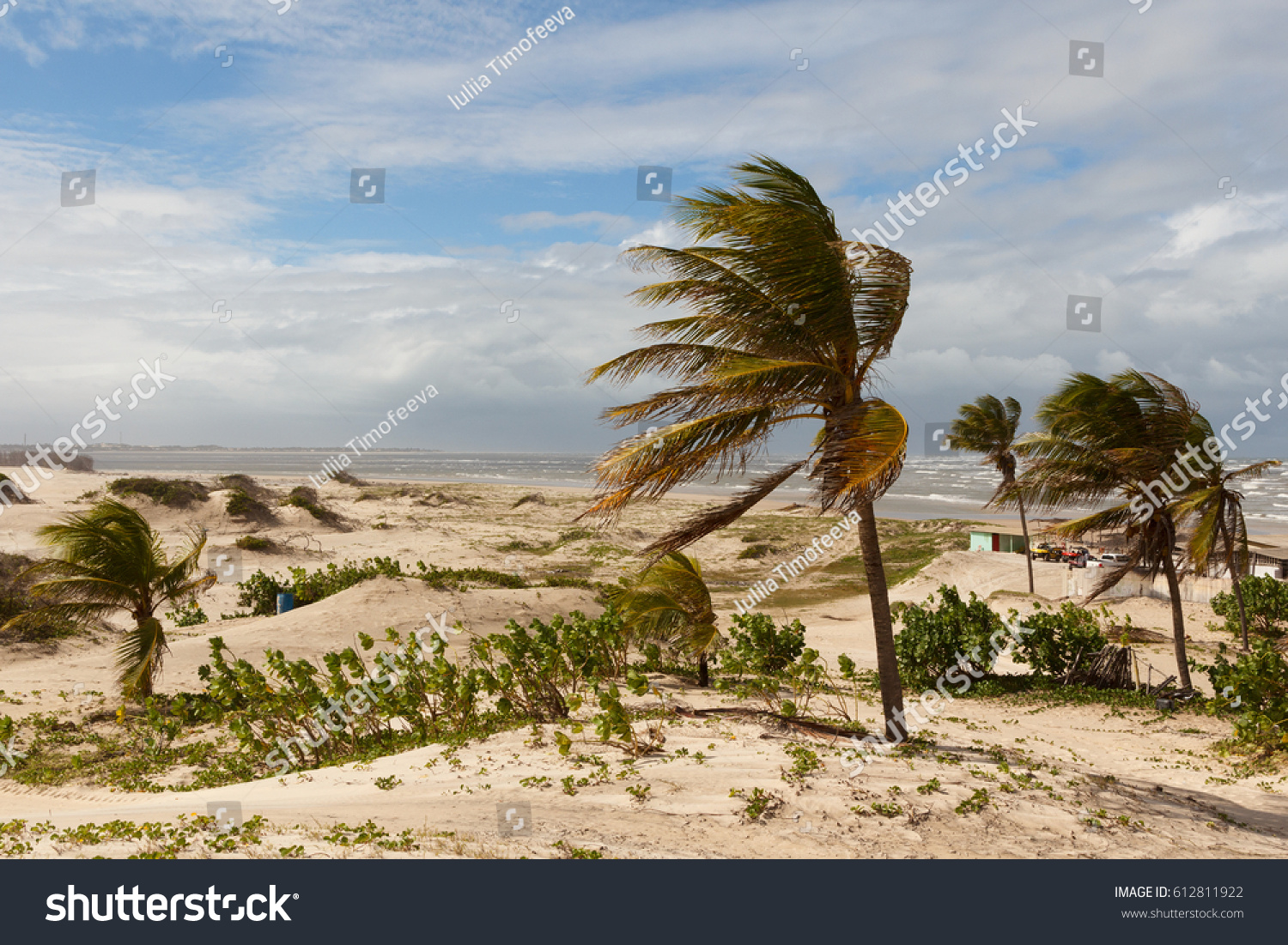 Jandaíra Bahia fonte: image.shutterstock.com