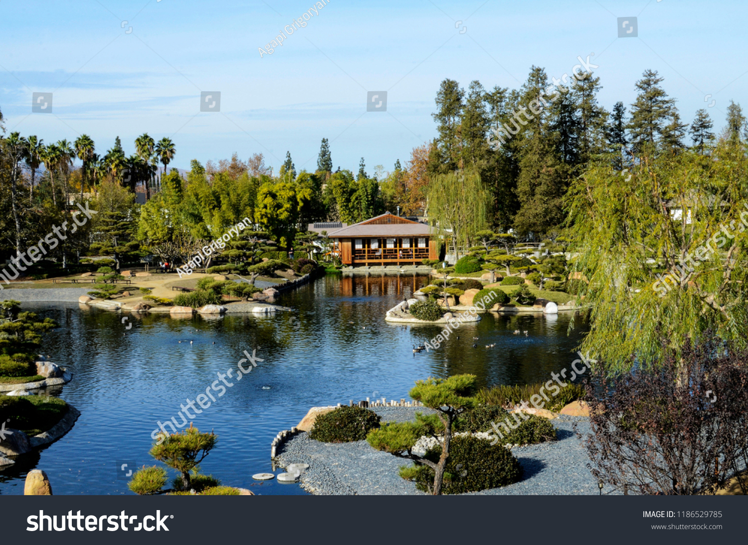 Japanese Garden Los Angeles Beautiful View Stock Photo Edit Now
