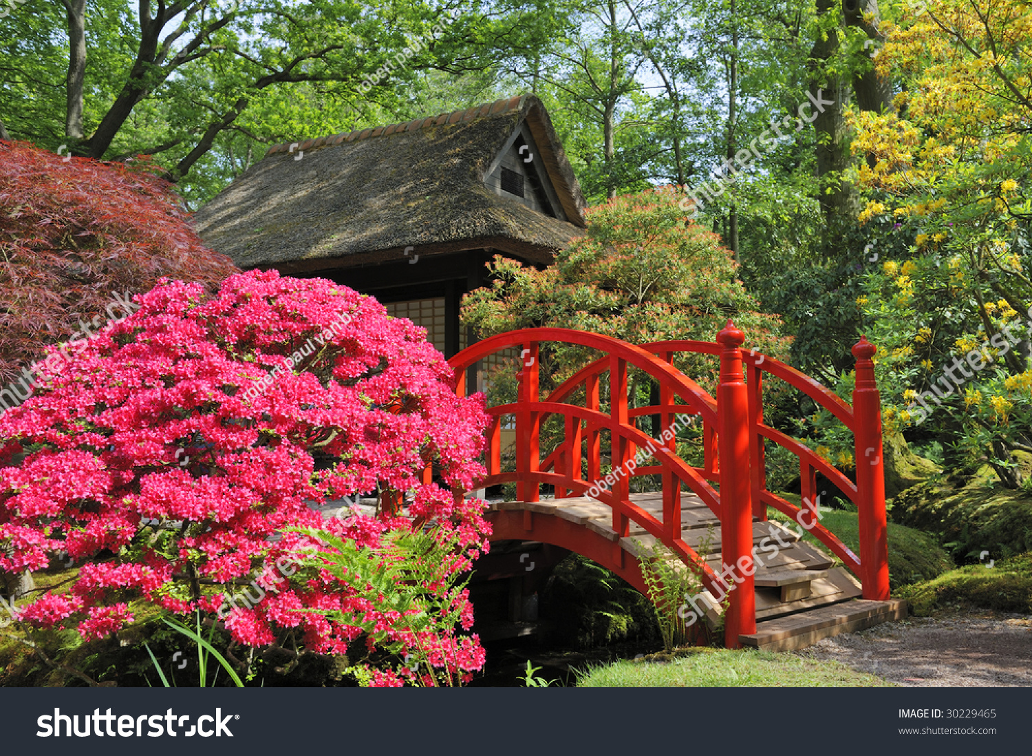 Red Japanese Garden Bridge japanese garden flowers red bridge stock photo 30229465 - shutterstock Red Japanese Garden Bridge japanese garden flowers red bridge stock photo 30229465 - shutterstock