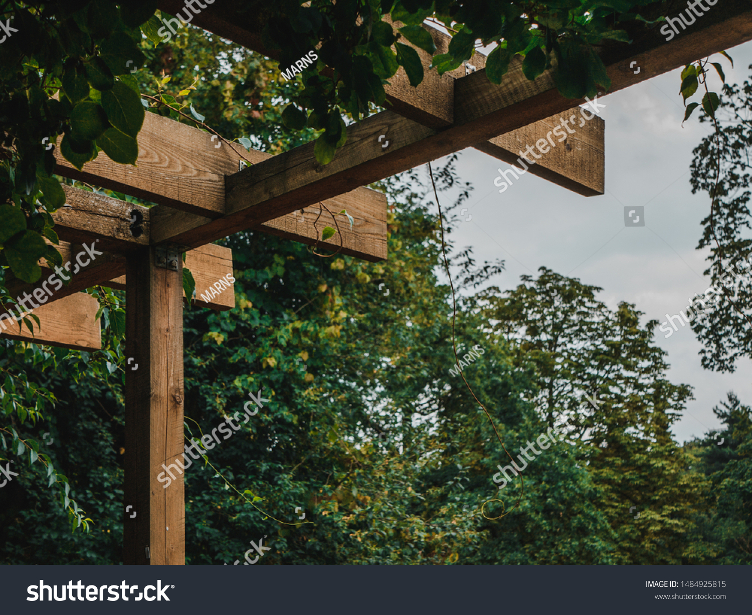 Featured image of post Japanese Wooden Garden Arch - Arching branches reach over the contrasting groundcover and reflect in a nearby pool of.