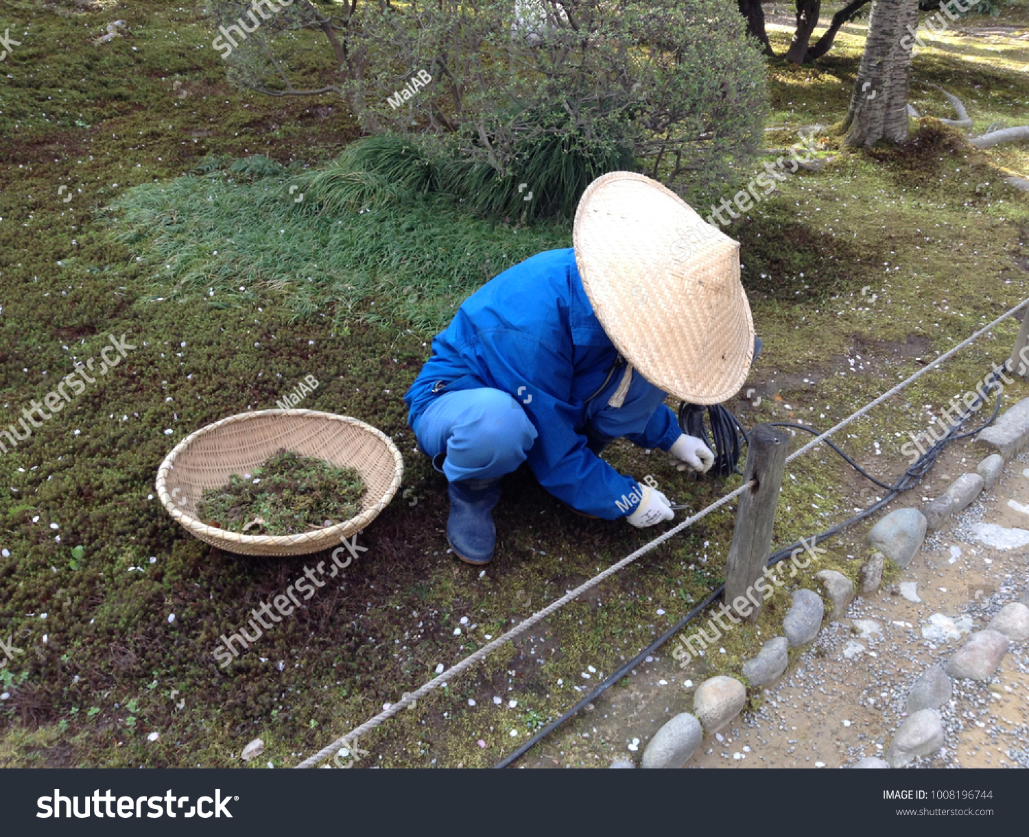 japanese conical hat