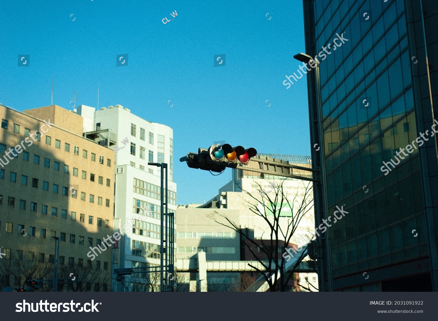 japanese blue traffic light