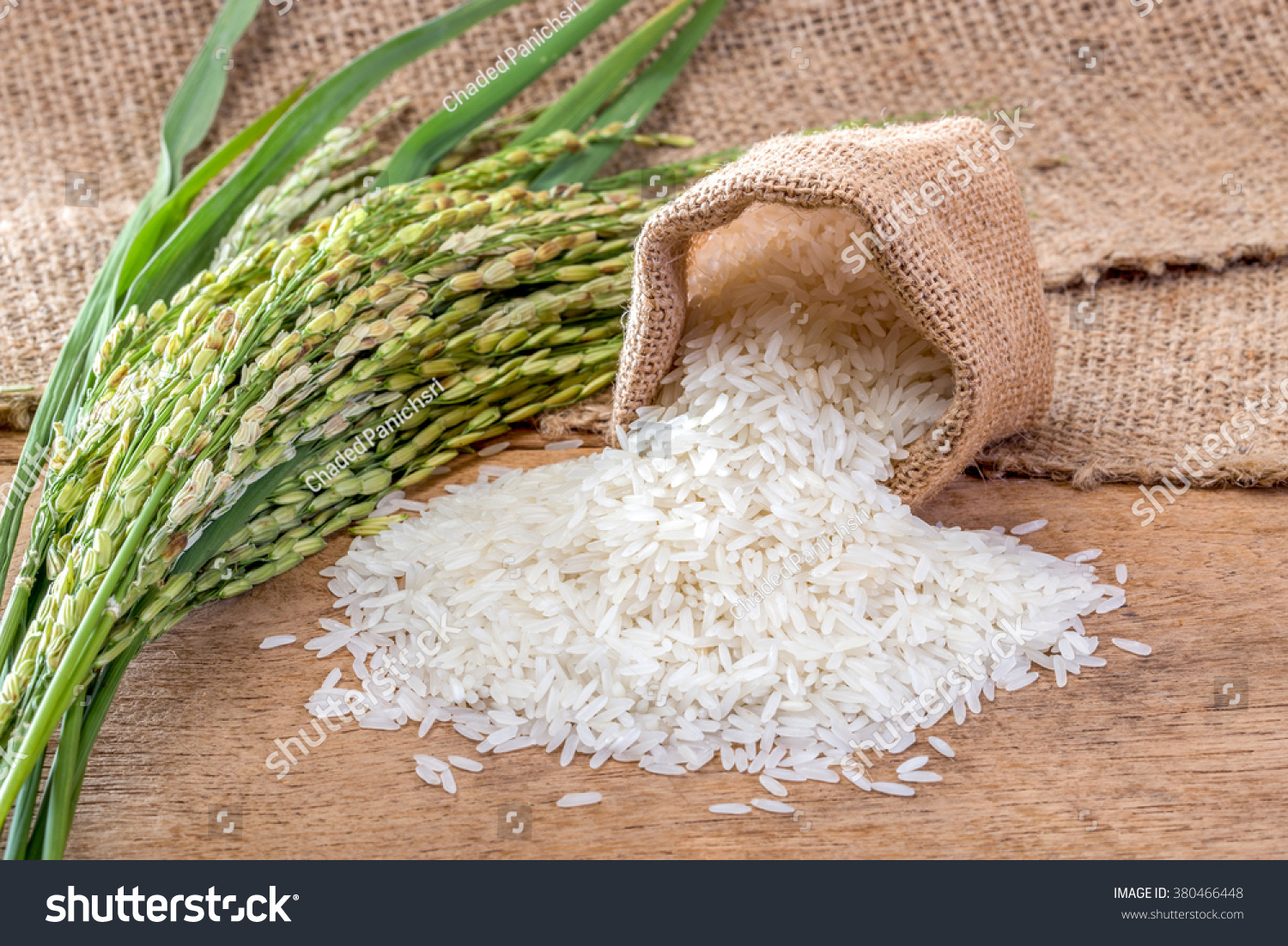 Jasmine Rice In Sack Stock Photo 380466448 : Shutterstock