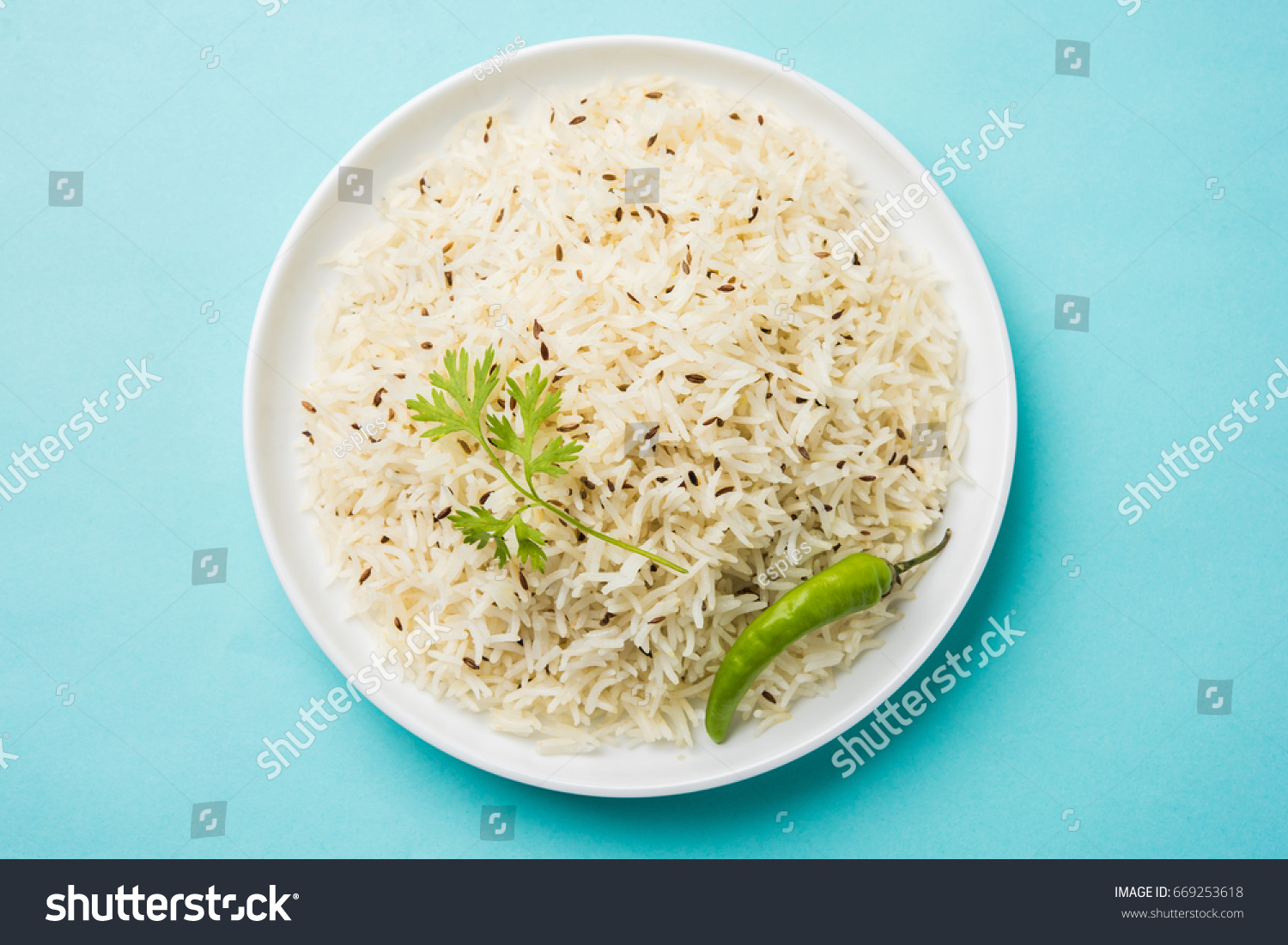 Jeera Rice Basmati Rice Flavored Fried Stock Photo 669253618 | Shutterstock