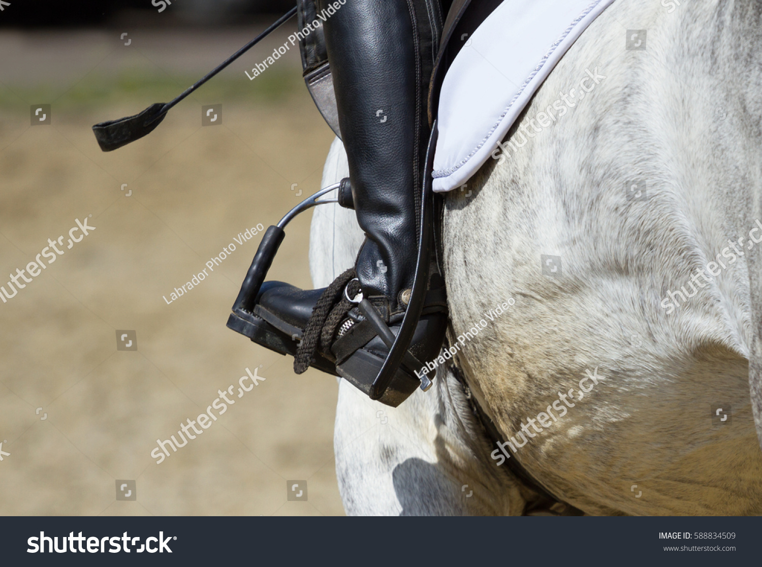 476 Whip and spur Images, Stock Photos & Vectors | Shutterstock