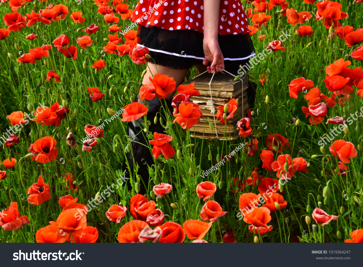 journalism writing summer opium poppy agile stock photo edit now