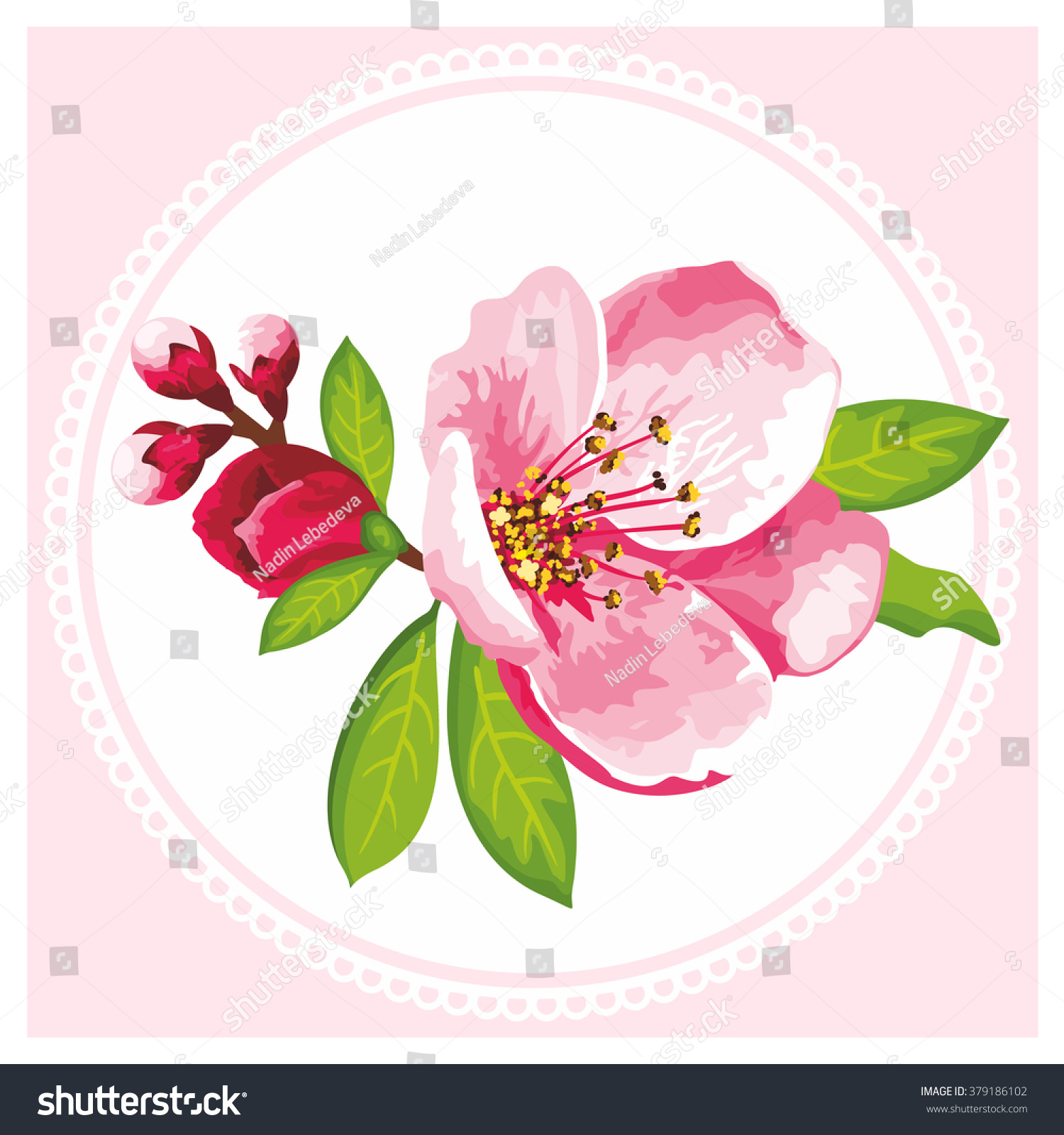 Jpeg 6900 X 6900px Sakura Blossom Stock Illustration