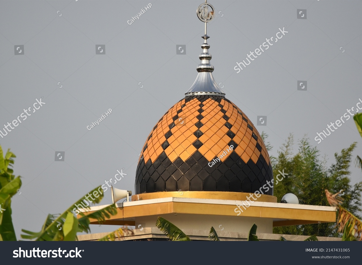 Mushala Images, Stock Photos & Vectors | Shutterstock