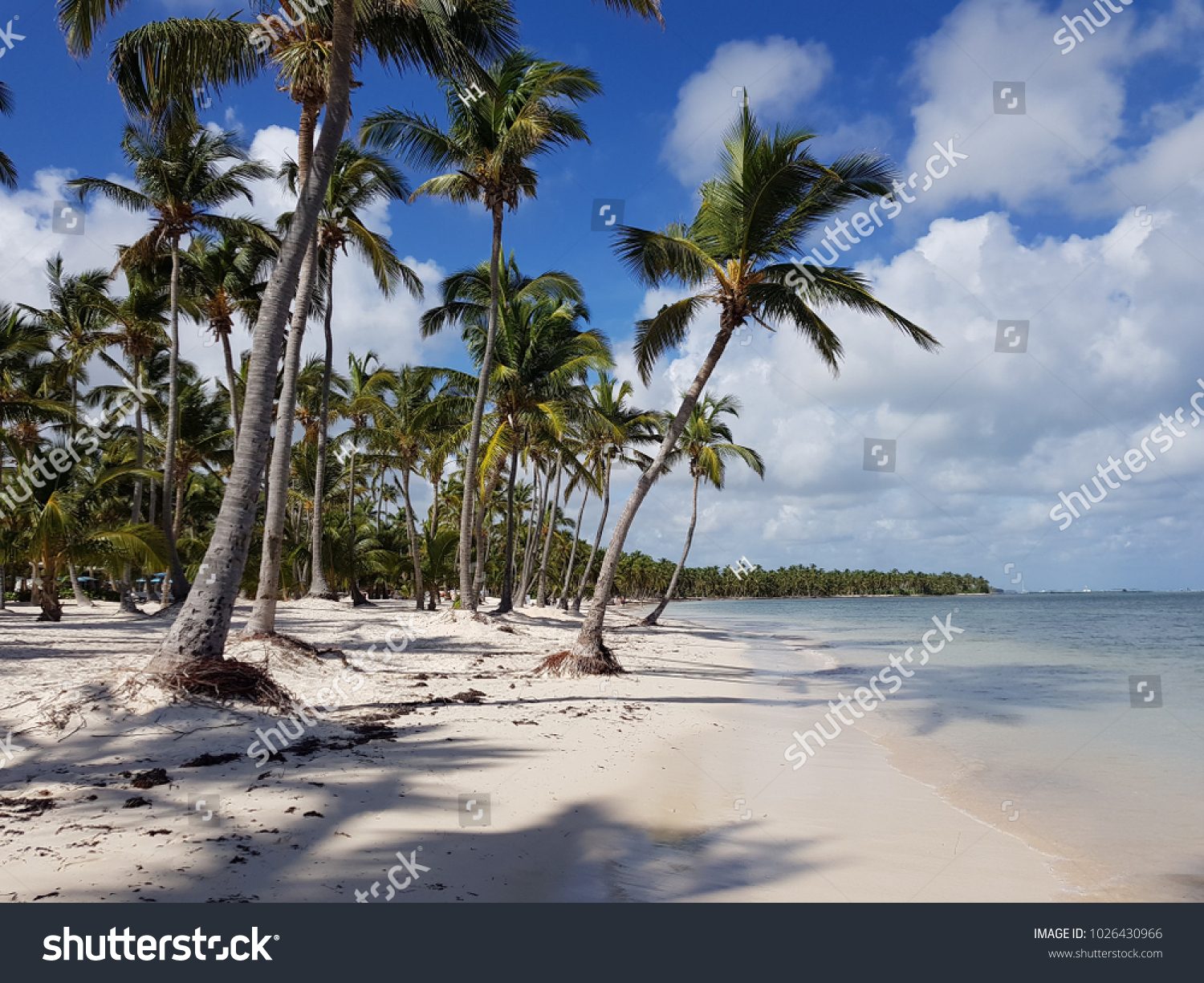 Karibik Strand Palmen Stock Photo Edit Now