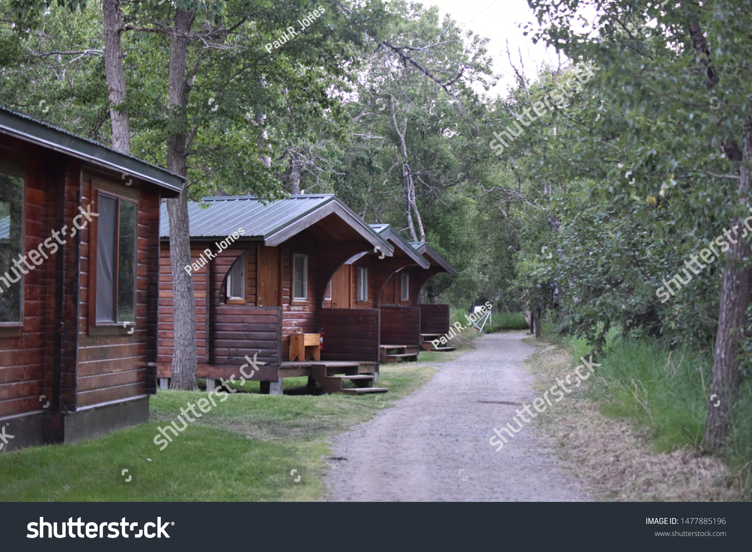 Katmai National Park Alaska Usa June Stock Photo Edit Now 1477885196