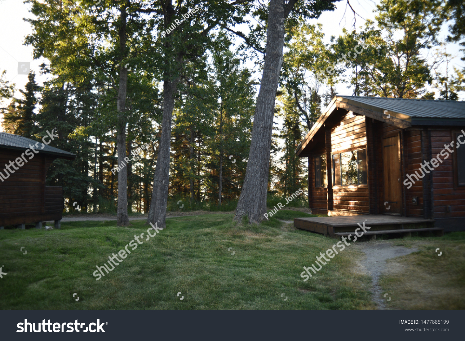 Katmai National Park Alaska Usa June Stock Photo Edit Now 1477885199