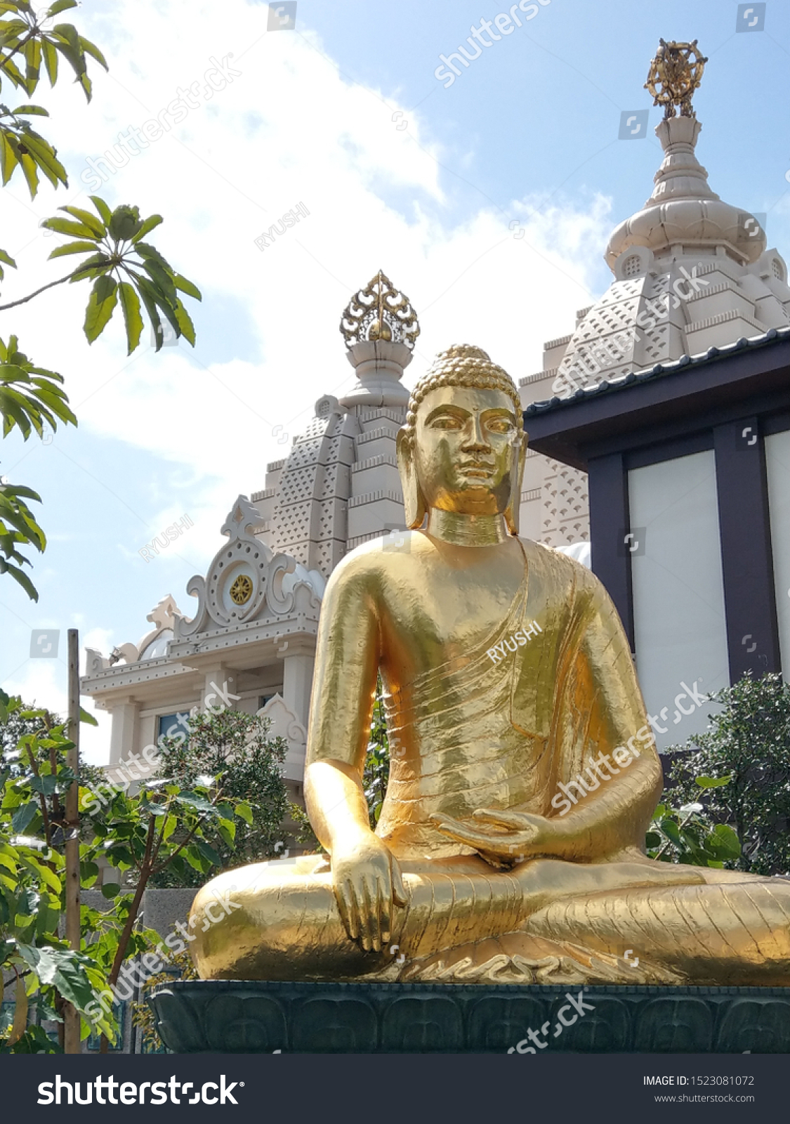 Anemone fisk Lavet af ungdomskriminalitet Golden Standing Buddha Wat Pikulthongtumpat Temples Stock Photo (Edit Now)  82850404