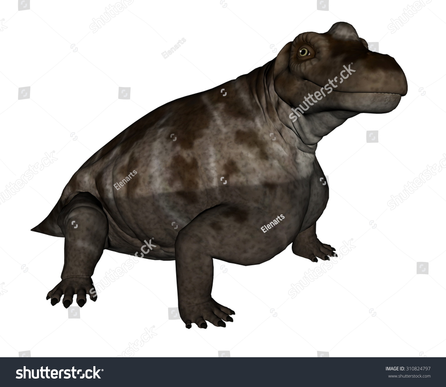 Keratocephalus Dinosaur Isolated White Background 3d Stock Illustration ...