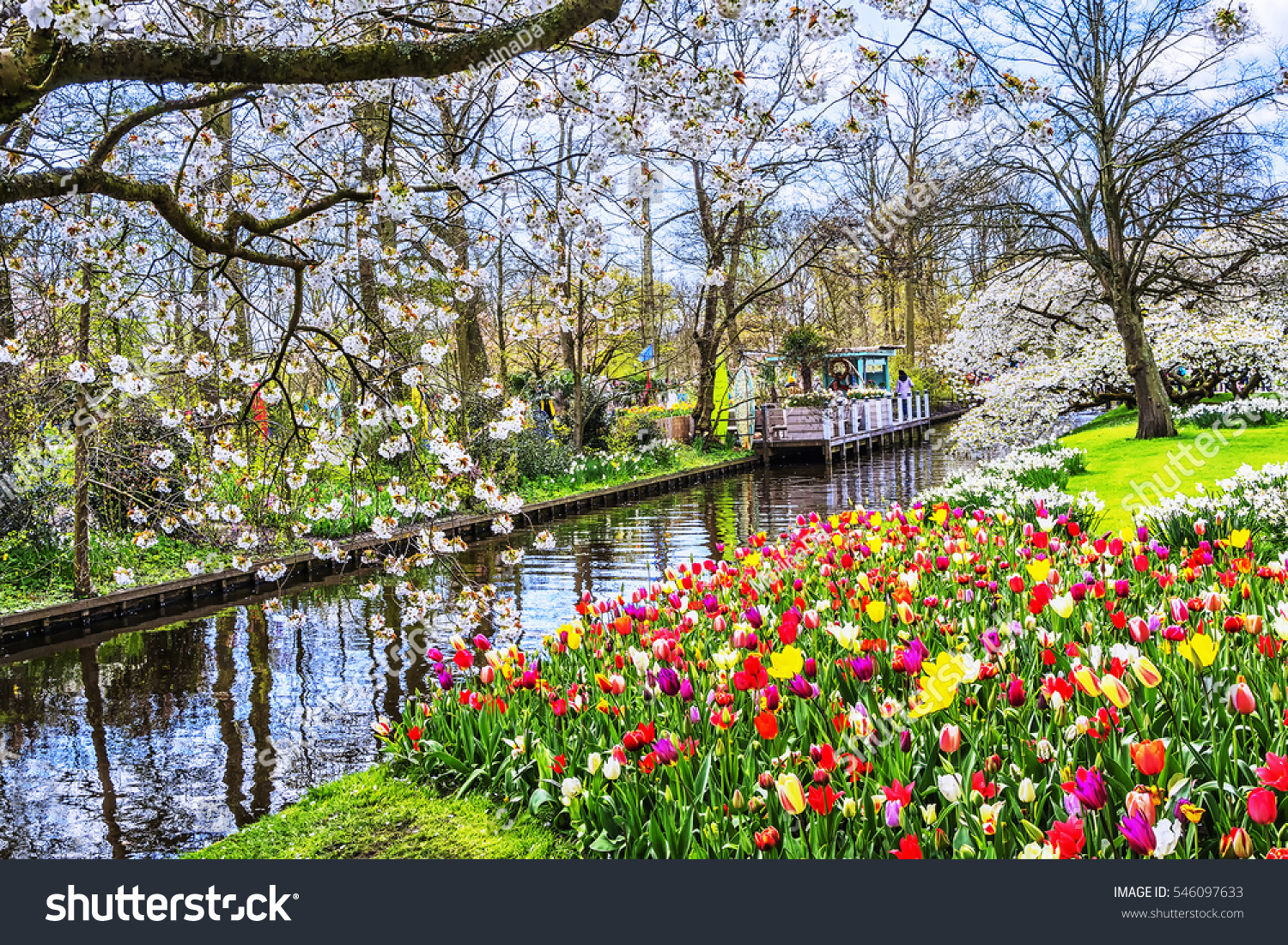 Keukenhof Park Of Flowers And Tulips In The Netherlands Beautiful