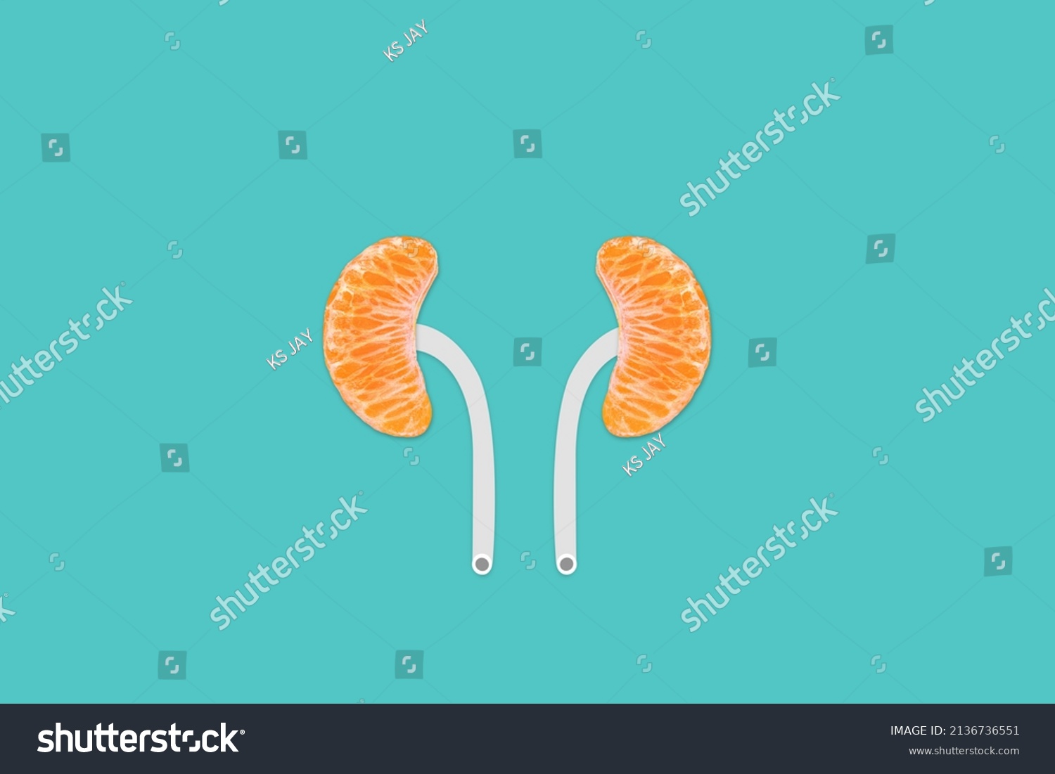 Kidney Shape Orange Isolated Cyan Tan Stock Illustration 2136736551 