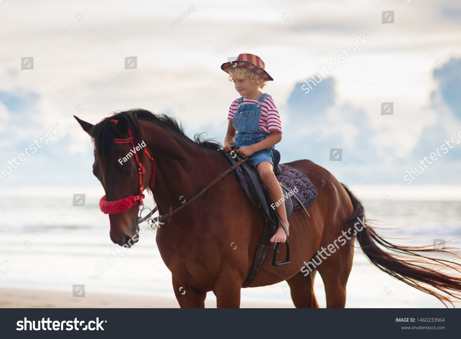 Kids Riding Horse On Beach Children库存照片1460233964 | Shutterstock