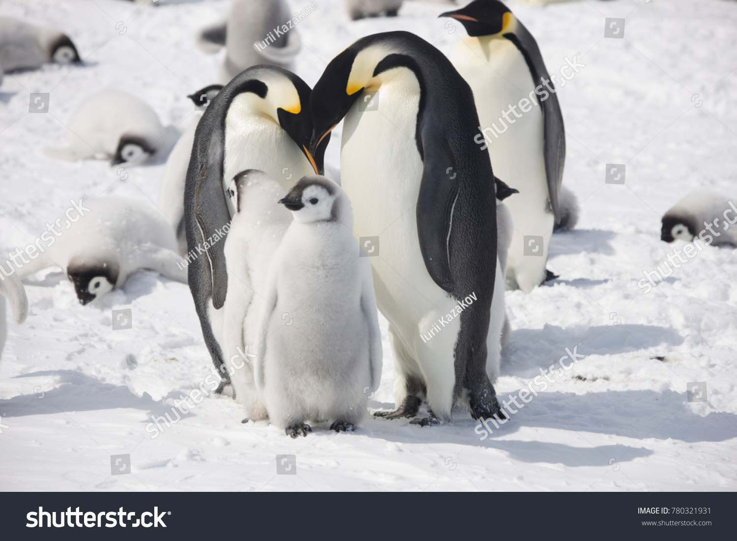 White Ballpoint Pen Cute Penguins on Ice Nature Arctic  #44796 