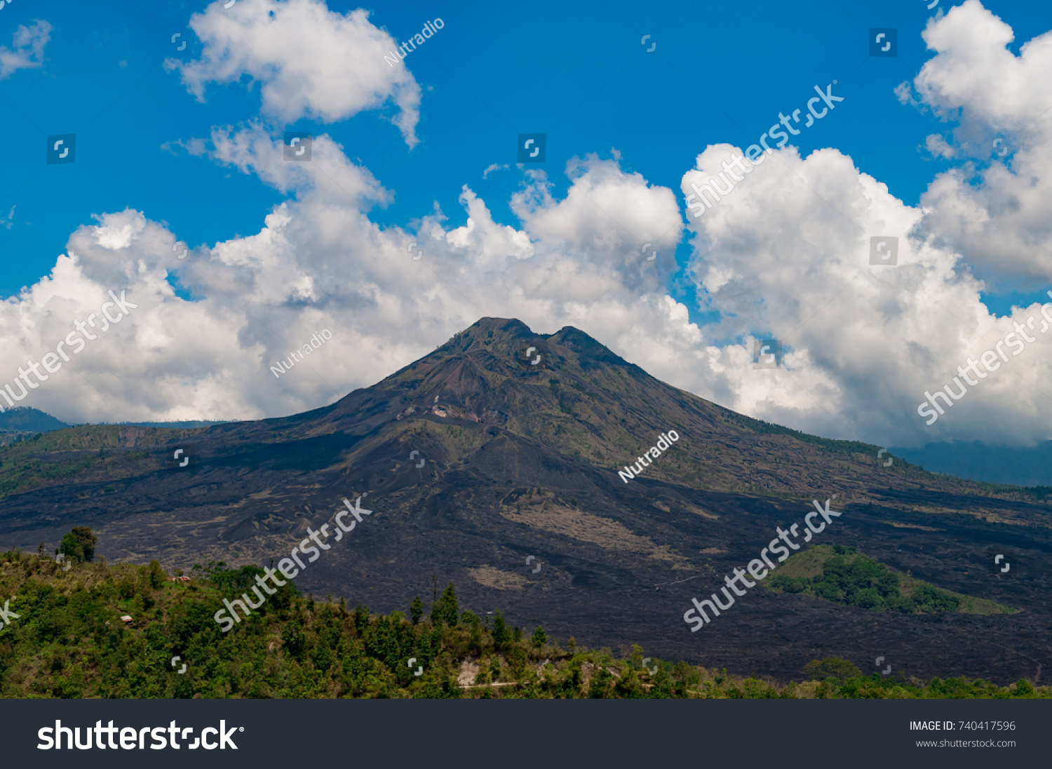 Kintamanee Images, Stock Photos & Vectors | Shutterstock