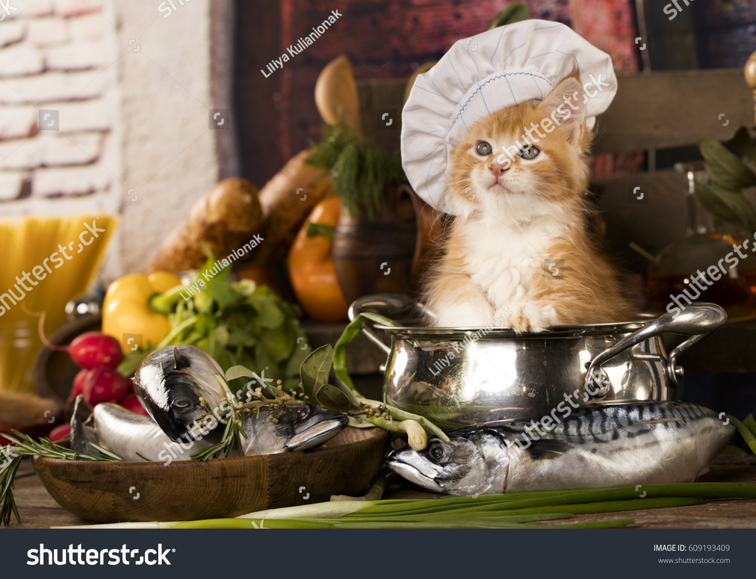 Kitten Cooks Capcat Cook Stock Photo 609193409 Shutterstock