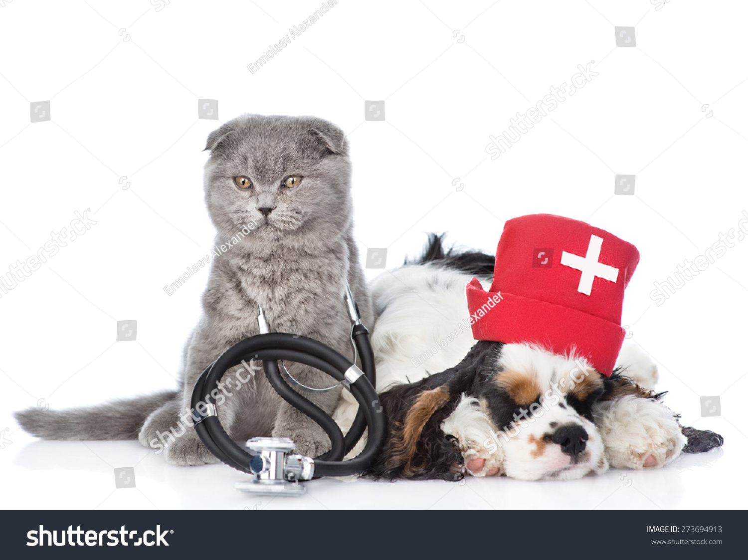 Kitten Stethoscope On His Neck Cocker Stock Photo Edit Now 273694913