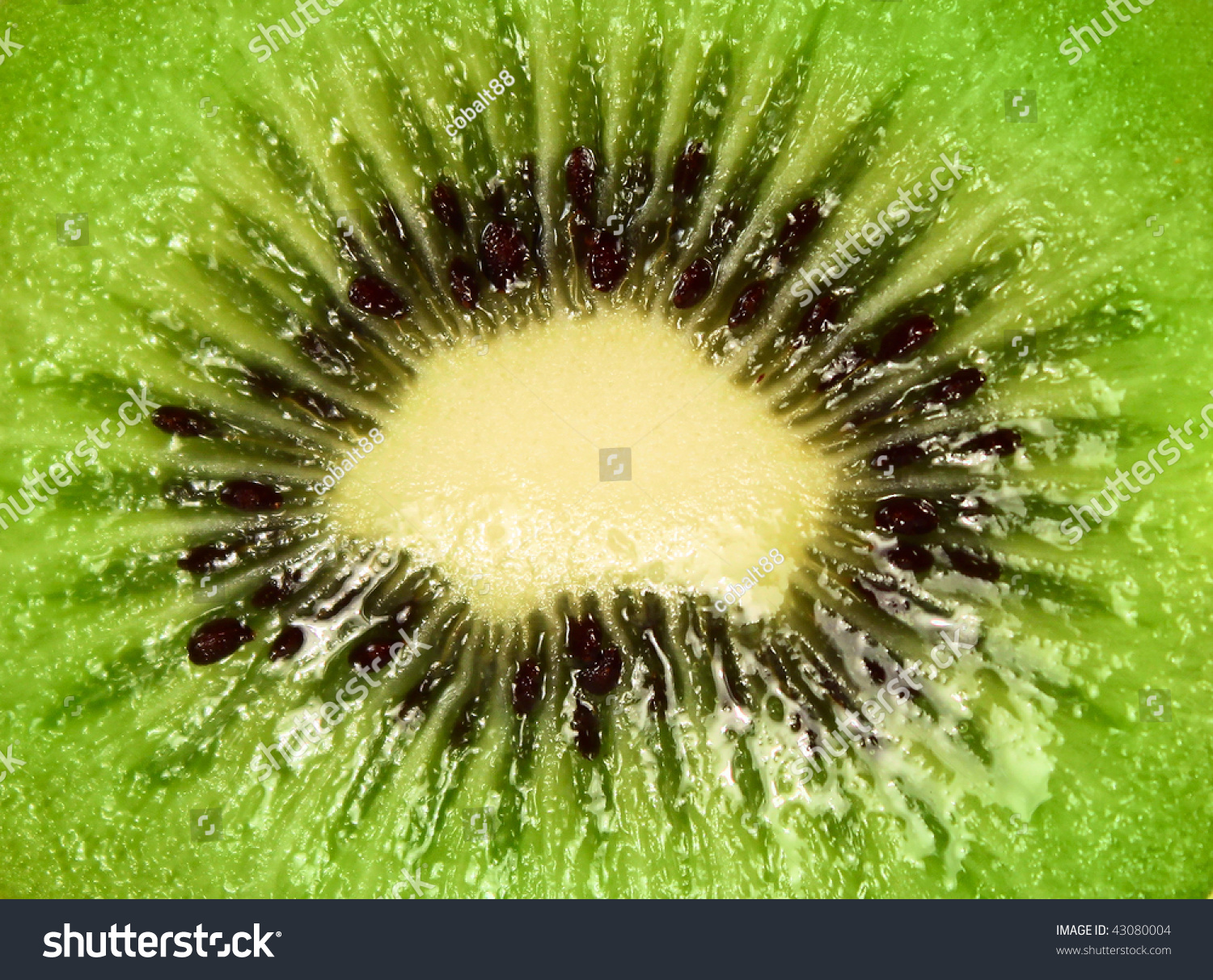 Kiwi Fruit Cut In Half Close-Up Stock Photo 43080004 : Shutterstock