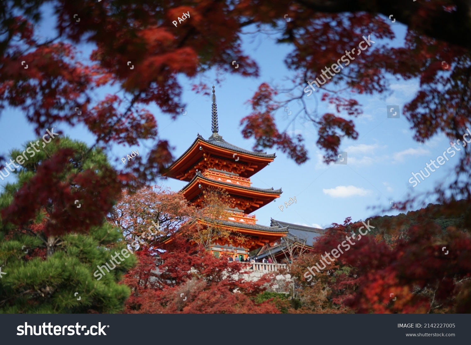 8 030 Kiyomizudera Images Stock Photos Vectors Shutterstock