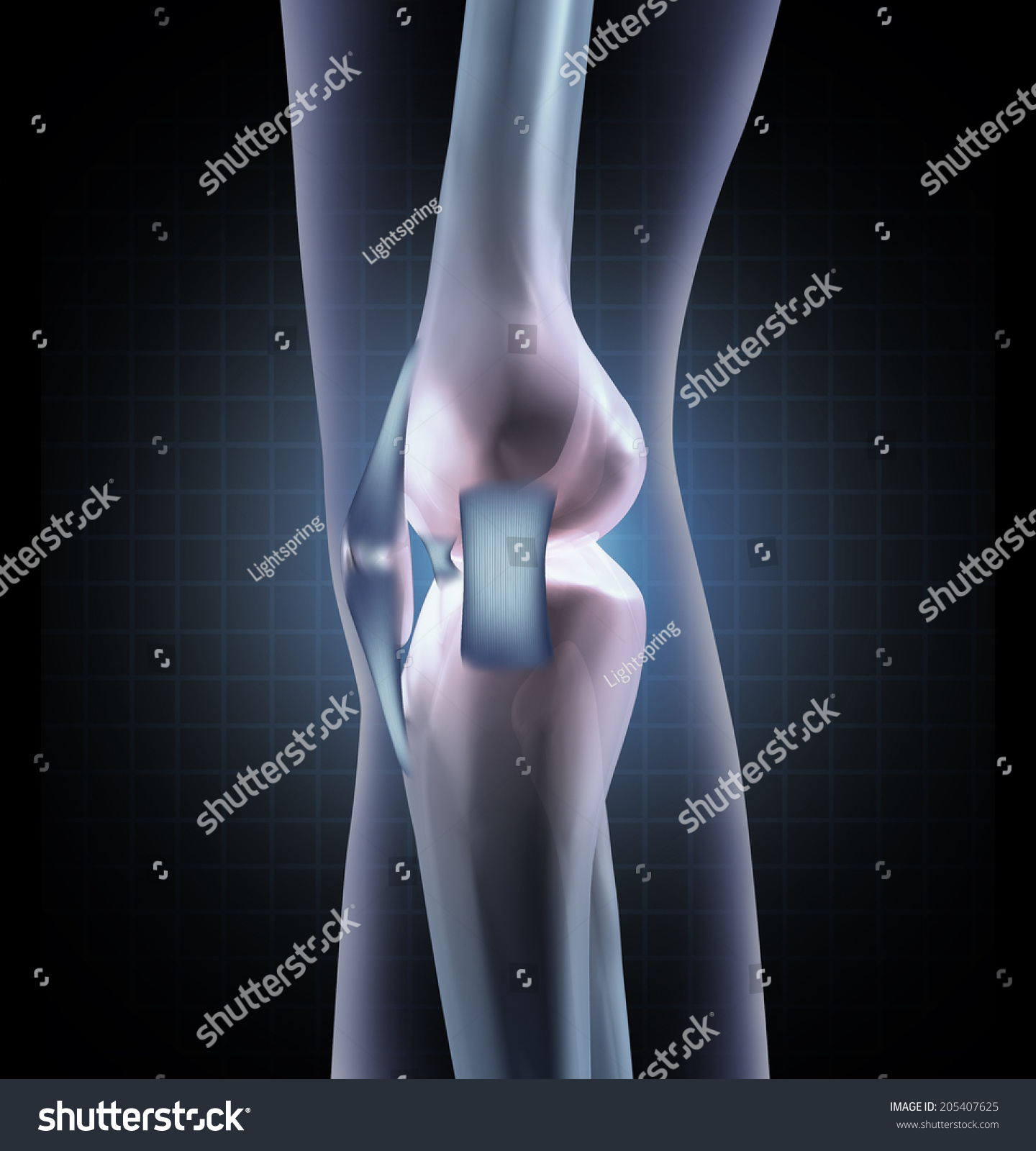 Knee Anatomy Medical Concept Side View Stock Illustration 205407625