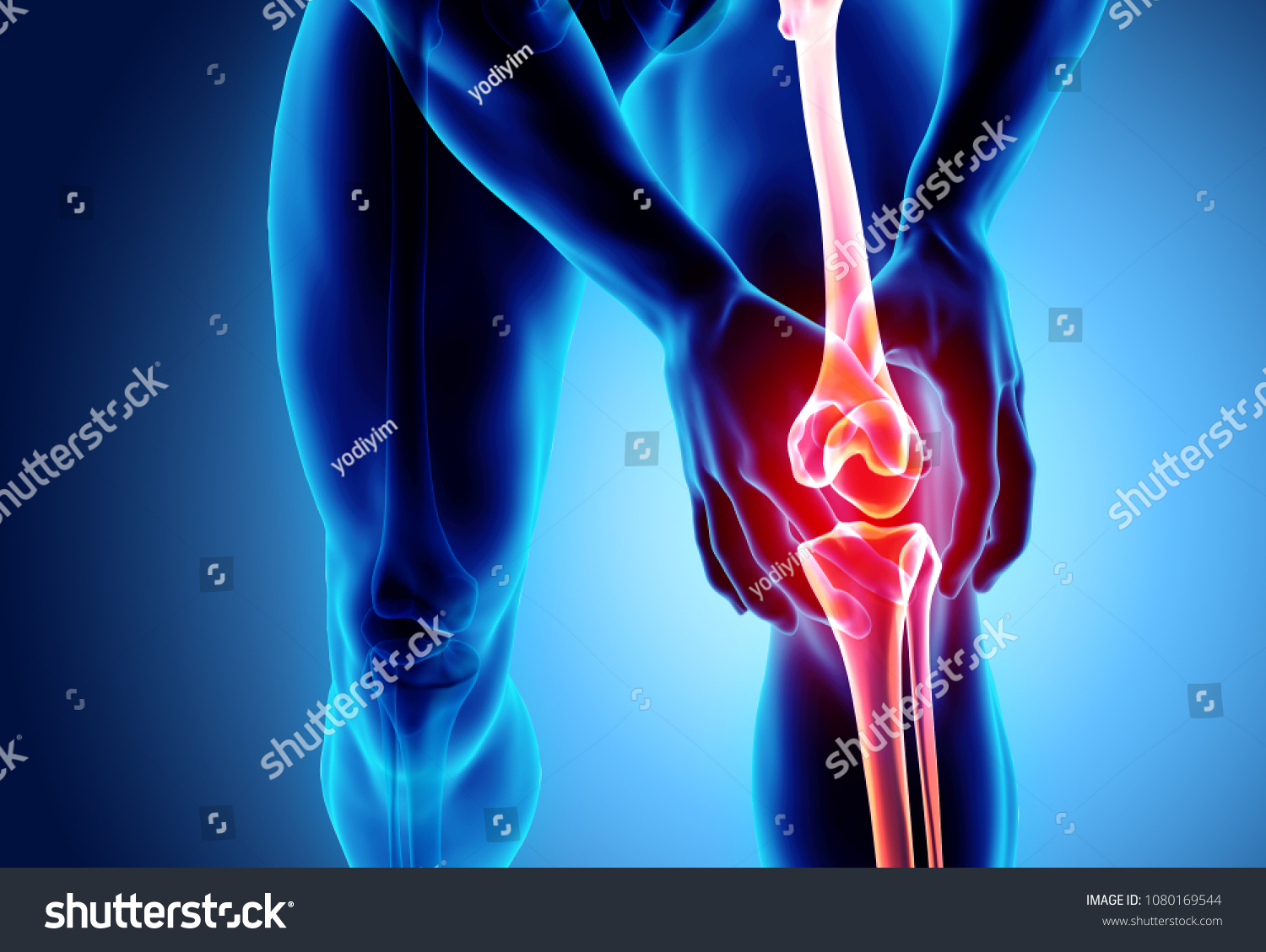 무릎 스톡 일러스트 이미지 및 벡터 Shutterstock 9746