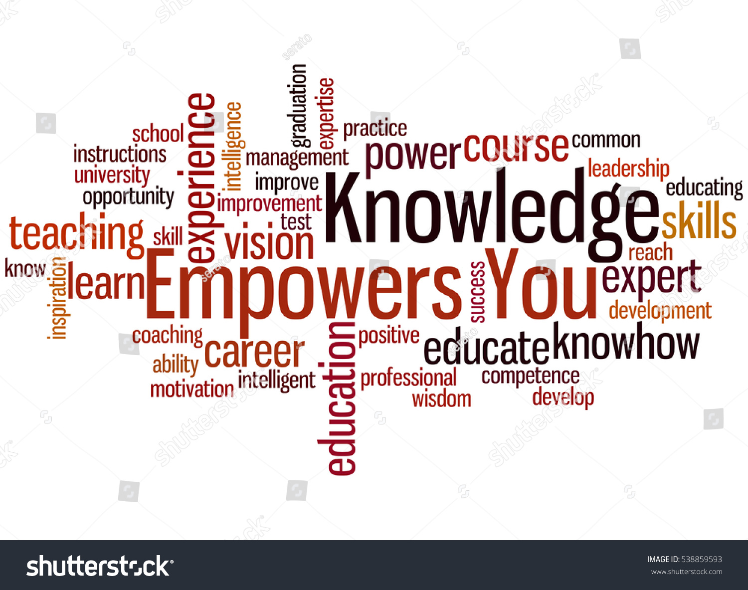 Knowledge Empowers You Word Cloud Concept Stock Illustration 538859593 ...