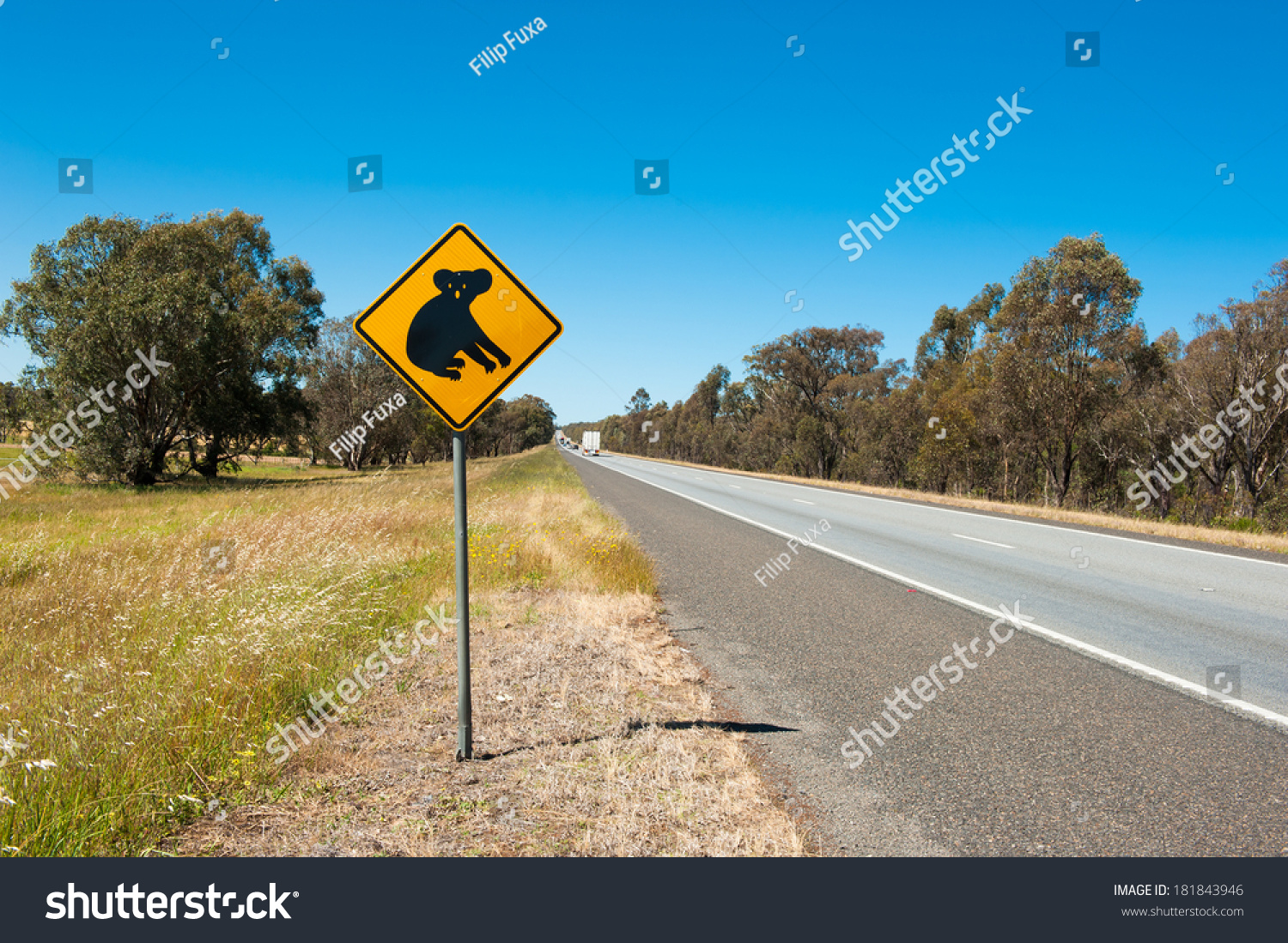 Koala Warning Sign Near Australian Highway Stock Photo 181843946 ...