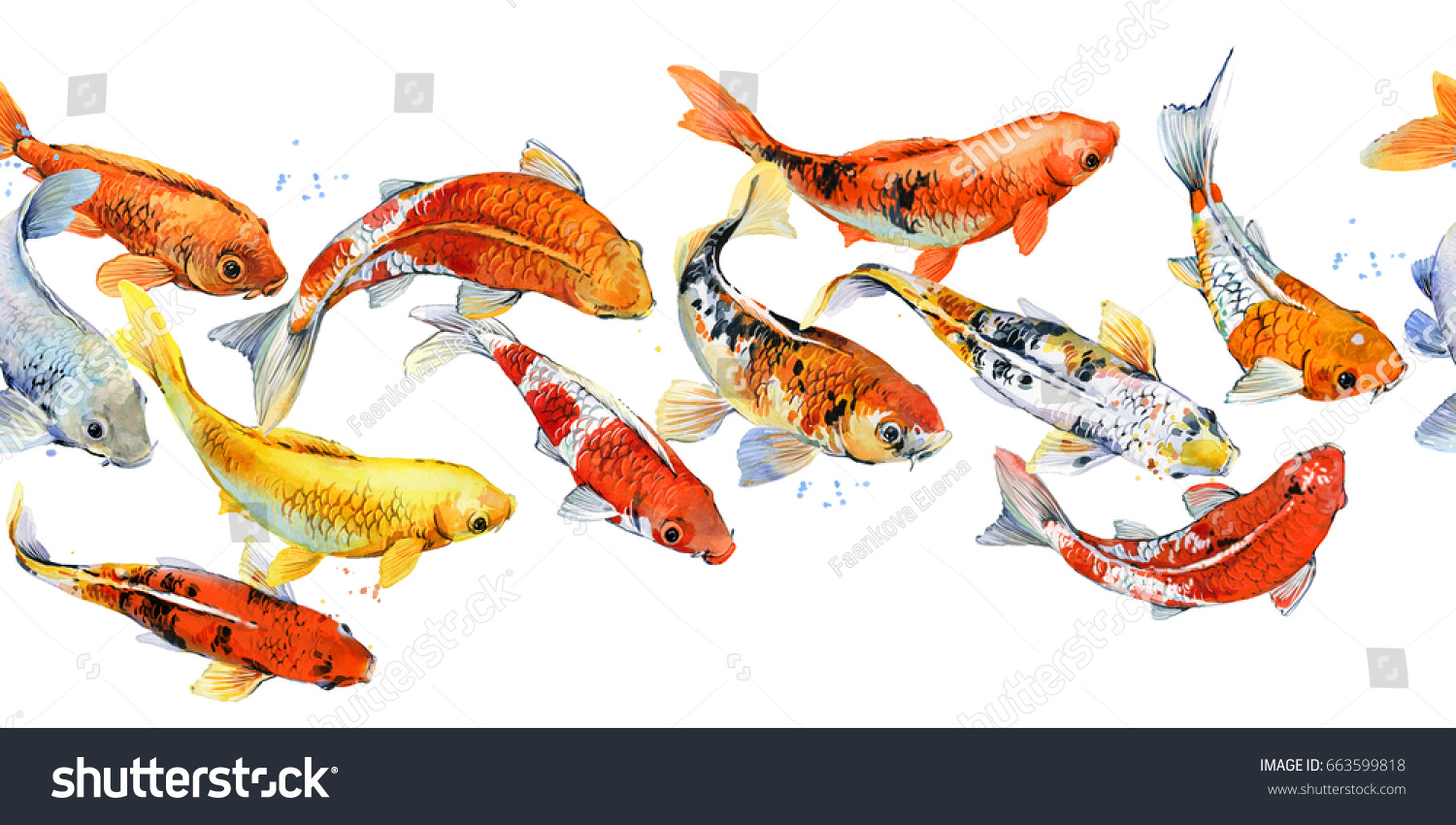 鯉の継ぎ目模様 水彩魚のイラスト のイラスト素材