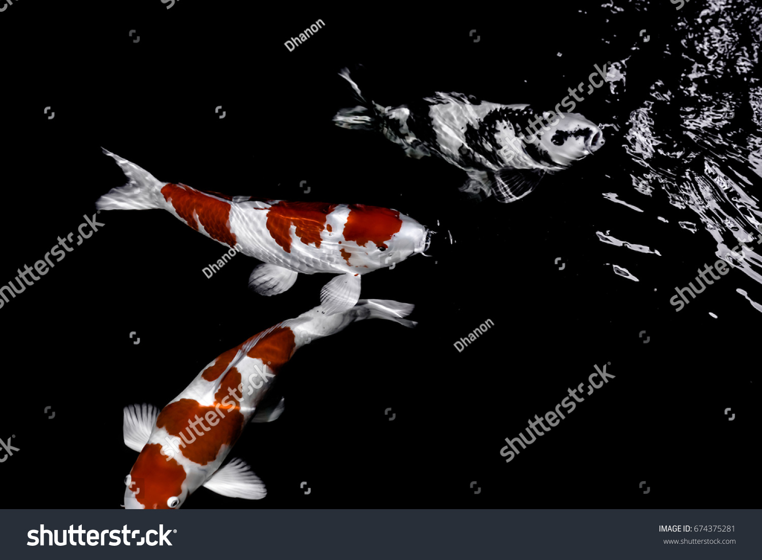 Koi Fish Water Wallpaper Stock Photo 674375281 | Shutterstock