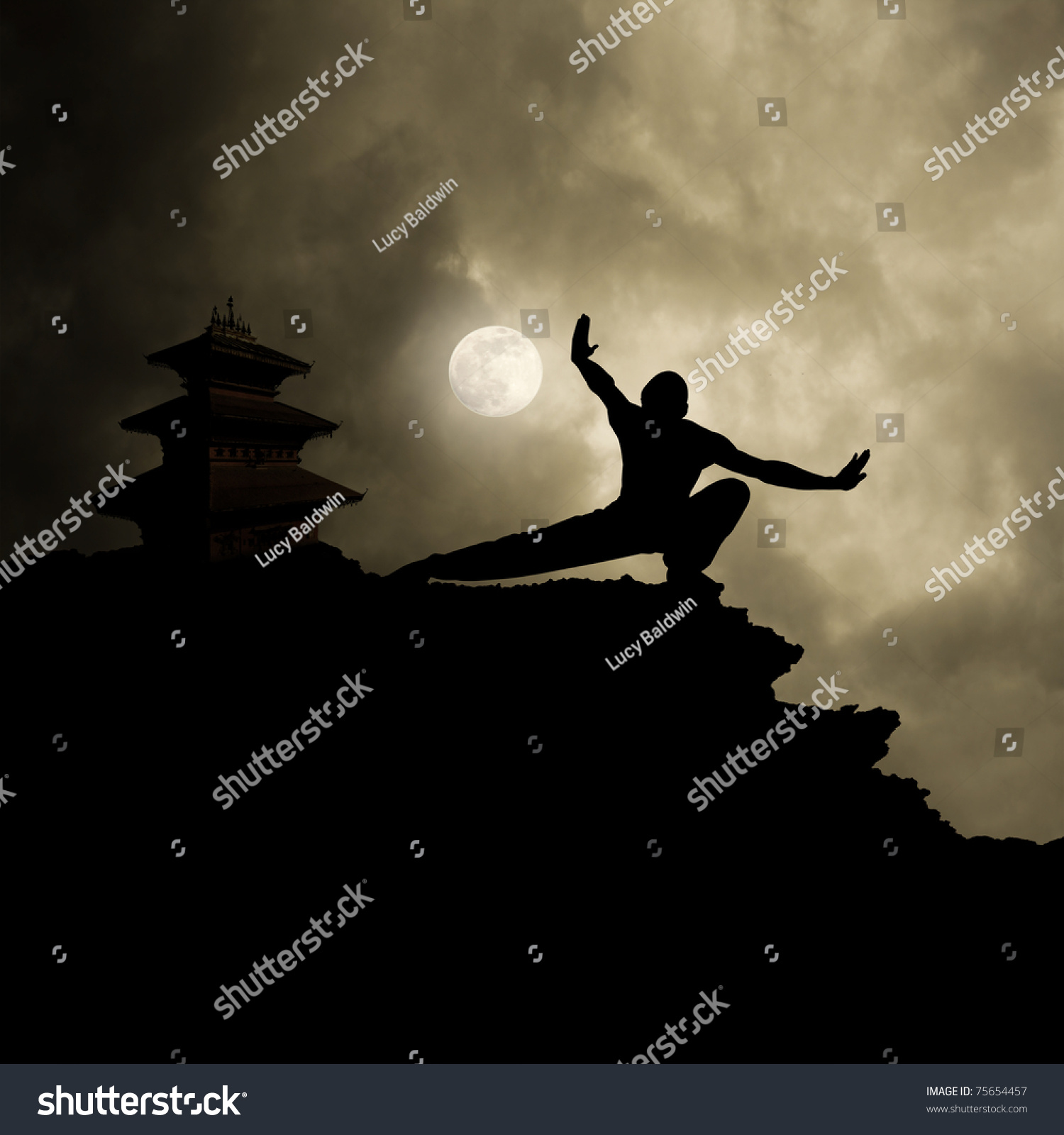 Kung Fu Martial Art Background Stock Photo (Edit Now) 75654457