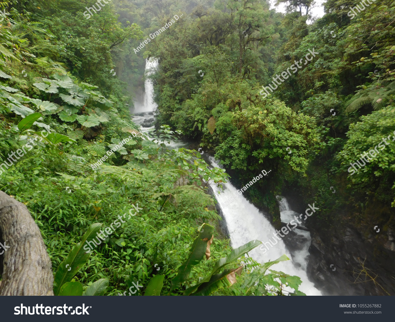 La Paz Waterfall Gardens Costa Rica Stock Photo Edit Now 1055267882