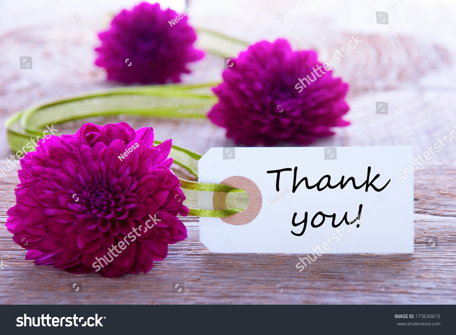 Label Thank You Purple Flowers Green Stock Photo (Edit Now) 173630615